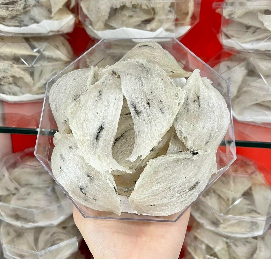 Tổ Yến thô loại I