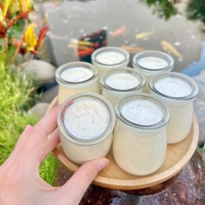 Sữa chua Tổ Yến
